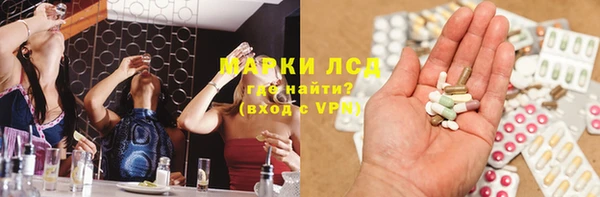 индика Абаза