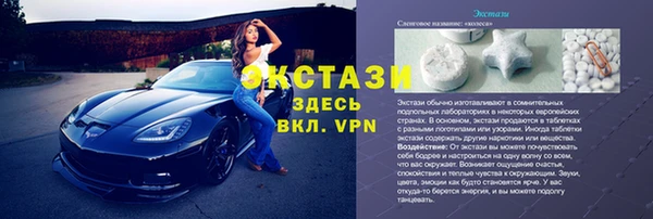 индика Абаза