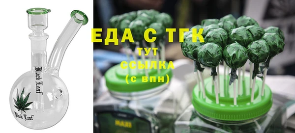 индика Абаза