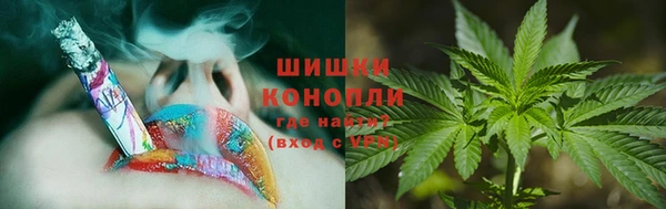 индика Абаза
