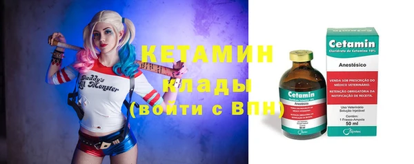 стаф Абинск