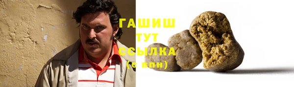индика Абаза