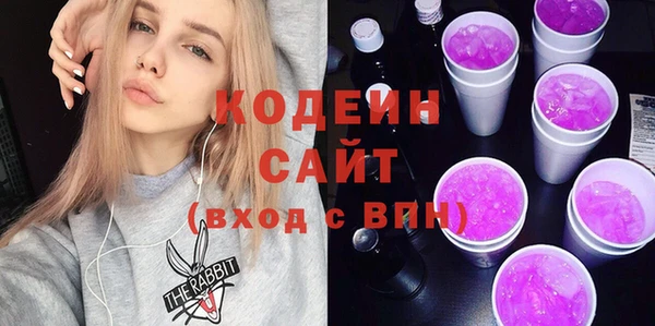 индика Абаза