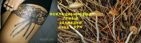 ALPHA-PVP Алексеевка