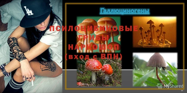 стаф Абинск