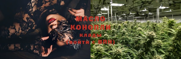 индика Абаза