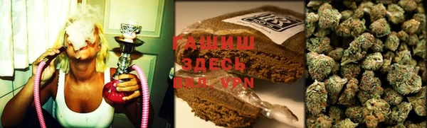 индика Абаза